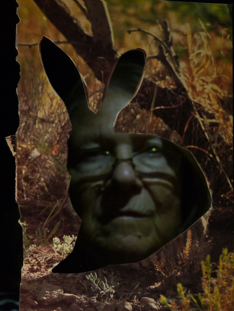 Extinction Ceremonies - Phine